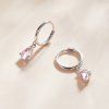 SCE1018 PK (1)