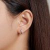 SCE1187 A (3)