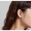 SCE1084 (6)