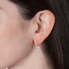 Swarovski Crystals Earrings Tiffany Hook White 4